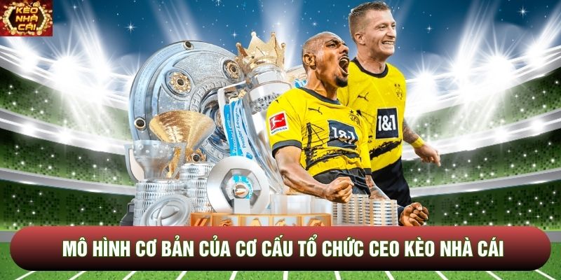 Mô hình cơ bản của cơ cấu tổ chức CEO Kèo Nhà Cái Mô hình cơ bản của cơ cấu tổ chức CEO Kèo Nhà Cái