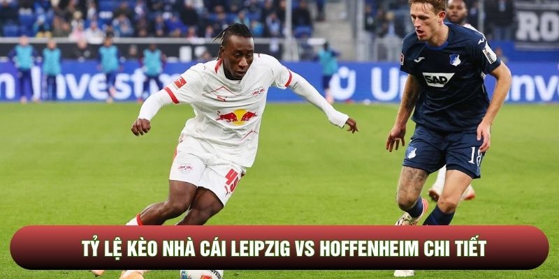 Tỷ lệ kèo nhà cái Leipzig vs Hoffenheim chi tiết